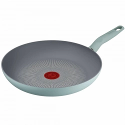 Сковорода Tefal Halo Eucalyptus 28см (G0160602)