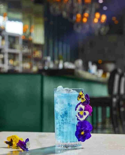 Набір склянок високих RCR TIMELESS 440мл 6шт (25753021106) фото 3