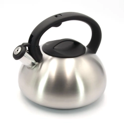 Чайник Lessner Twist 2,7л (49519)