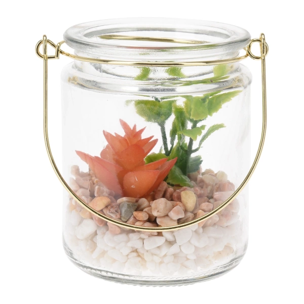 Сукулент у скляному кашпо Koopman, 8х10 см, в асортименті (HZ1951220) фото 5