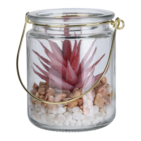 Сукулент у скляному кашпо Koopman, 8х10 см, в асортименті (HZ1951220) фото 4