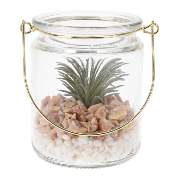 Сукулент у скляному кашпо Koopman, 8х10 см, в асортименті (HZ1951220) фото 3