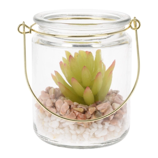 Сукулент у скляному кашпо Koopman, 8х10 см, в асортименті (HZ1951220) фото 2