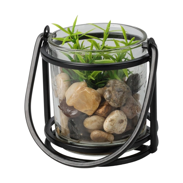 Сукулент у стекляному кашпо Koopman 9х12 см, в ассотименті (HZ1953400) фото 2