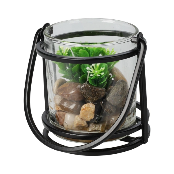 Сукулент у стекляному кашпо Koopman 9х12 см, в ассотименті (HZ1953400) фото 3