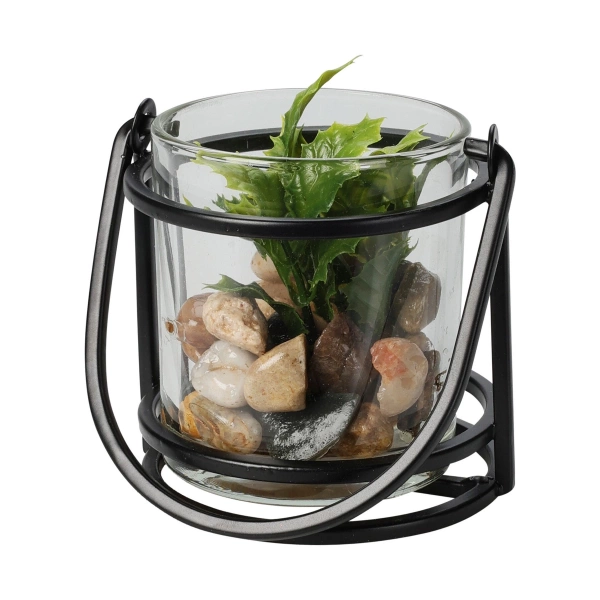 Сукулент у стекляному кашпо Koopman 9х12 см, в ассотименті (HZ1953400) фото 4