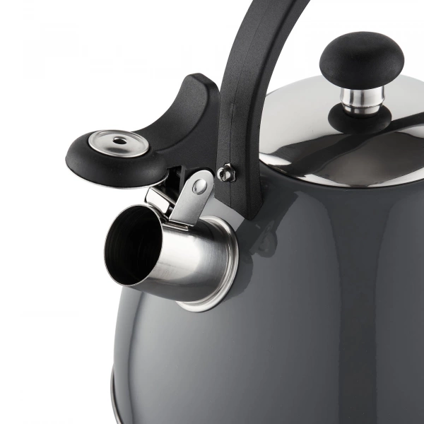 Чайник Florina gray 2,5л (5C6850) фото 3