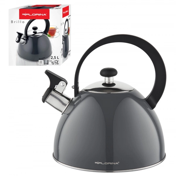 Чайник Florina gray 2,5л (5C6850) фото 2